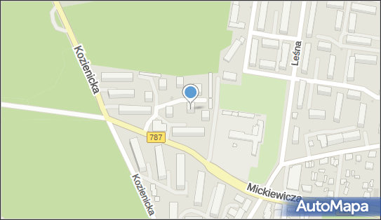 8121041858, Pietraszewska Ziółkowska Elżbieta - Indywidualna Praktyka Lekarska w Miejscu Wezwania 