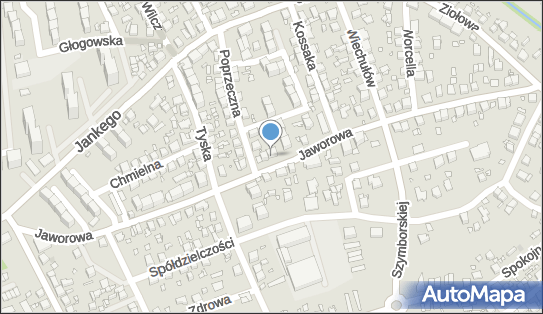 Gabinet Lekarski Neurologiczny, ul. Jaworowa 34, Katowice 40-650 - Przedsiębiorstwo, Firma, NIP: 5761242564