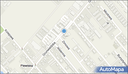 Gabinet Lekarski, ul. Grunwaldzka 556, Plewiska 62-064 - Przedsiębiorstwo, Firma, numer telefonu, NIP: 7811041427