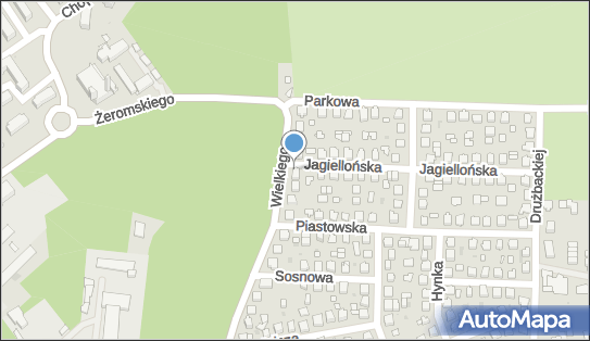 Gabinet Specjalistycznej Pielęgnacji Stóp i Dłoni Carmen, Mielec 39-300 - Przedsiębiorstwo, Firma, NIP: 8171719908