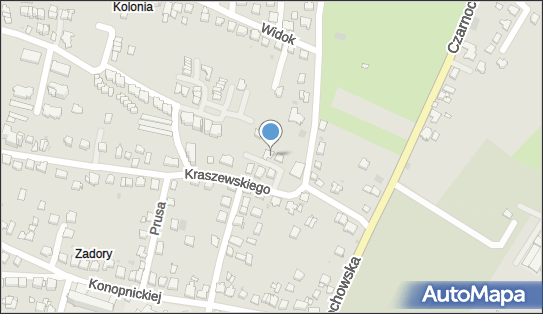 Gabinet Weterynaryjny, ul. Józefa Ignacego Kraszewskiego 32A 32-020 - Przedsiębiorstwo, Firma, numer telefonu, NIP: 6781787669