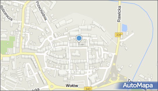 Gałecki Kacper Kapter, Rynek 14, Wołów 56-100 - Przedsiębiorstwo, Firma, NIP: 9880220803