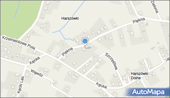 Gastronomia Piskorek Rafał Piskorek, Piękna 6, Pisarzowice 43-332 - Przedsiębiorstwo, Firma, NIP: 9372103592