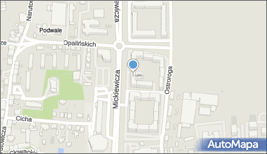 Gemini Leszno, ul. Jana Ostroroga 39, Leszno 64-100 - Przedsiębiorstwo, Firma, NIP: 6971231567