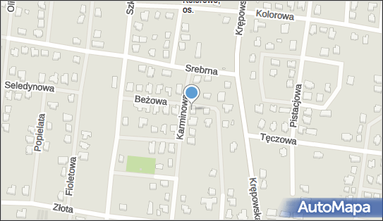 Geo System Biuro Usług Geodezyjnych, ul. Karminowa 20 65-129 - Przedsiębiorstwo, Firma, numer telefonu, NIP: 9730825746