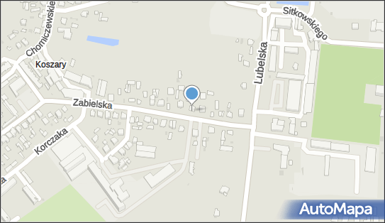 Geodeta Uprawniony Henryk Kosiński, Zabielska 14, Radzyń Podlaski 21-300 - Przedsiębiorstwo, Firma, NIP: 5381014785