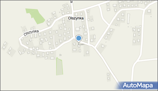 Geodeta Uprawniony, Olszynka 145, Olszynka 37-717 - Przedsiębiorstwo, Firma, NIP: 7951018954