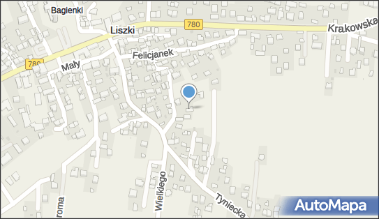 Geodezja i Nieruchomości, Liszki 196, Liszki 32-060 - Przedsiębiorstwo, Firma, NIP: 9441182265