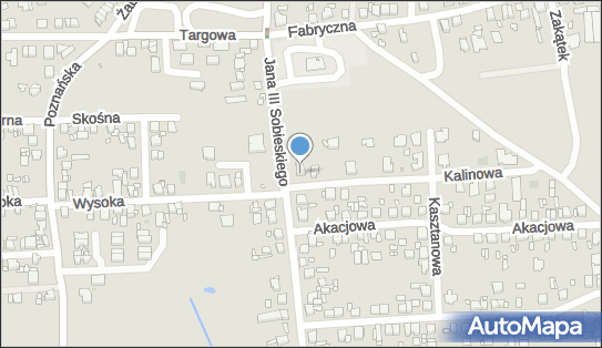 Geulincx, Kalinowa 1, Luboń 62-030 - Przedsiębiorstwo, Firma, NIP: 8541331907