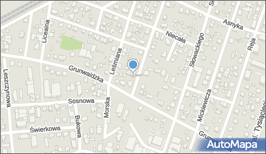 Glory International, Krasińskiego Zygmunta 29A, Piastów 05-820 - Przedsiębiorstwo, Firma