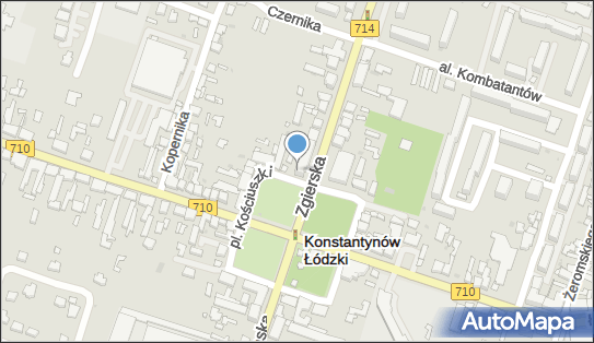 7311993975, Gmina Konstantynów Łódzki 