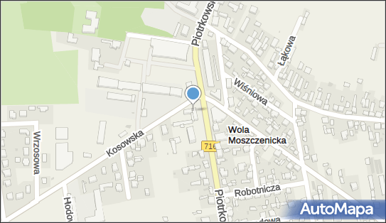 Gmina Moszczenica, ul. Kosowska 1, Moszczenica 97-310 - Przedsiębiorstwo, Firma, numer telefonu, NIP: 7711661550