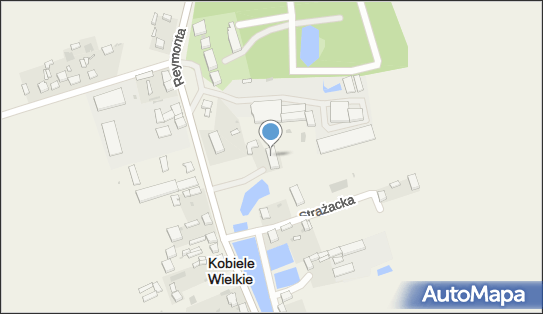 7722234834, Gminny Ośrodek Kultury i Sportu w Kobielach Wielkich 