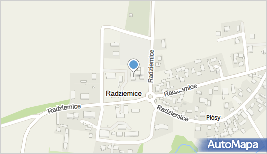 Gminny Ośrodek Pomocy Społecznej w Radziemice, Radziemice N 32-107 - Przedsiębiorstwo, Firma, numer telefonu, NIP: 6821447633