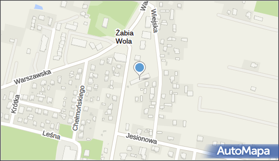 Gminny Ośrodek Pomocy Społecznej, ul. Główna 5, Żabia Wola 96-321 - Przedsiębiorstwo, Firma, numer telefonu, NIP: 5291604307