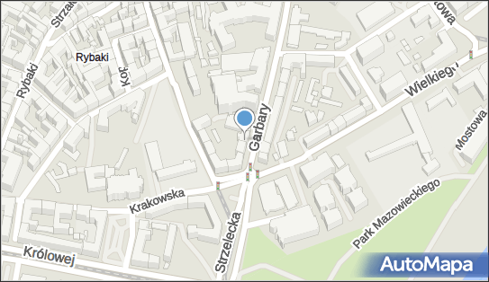 Go Online Sp. z o.o., ul. Garbary 5/7, Poznań 61-866 - Przedsiębiorstwo, Firma, numer telefonu