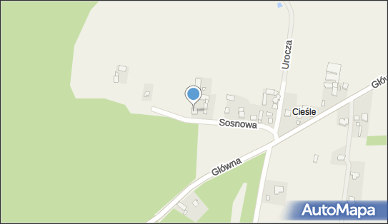 1231071302, Good Logistic Adam Grzeszczak 