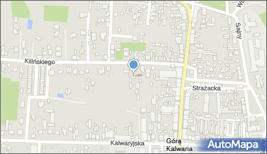 Good Travel Usługi Transportowe Przewóz Osób Paweł Sipak 05-530 - Przedsiębiorstwo, Firma, NIP: 1231064495