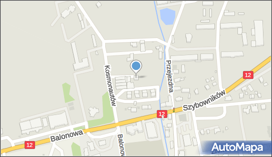 Gospodarstwo Ogrodnicze Bogusław Walkowiak, Kosmonautów 2, Leszno 64-100 - Przedsiębiorstwo, Firma, numer telefonu, NIP: 6970002020