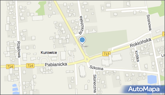 Gospodarstwo Ogrodnicze Krystyna Grudzińska, ul. Rokicińska 2A 95-006 - Przedsiębiorstwo, Firma, numer telefonu, NIP: 7281236139