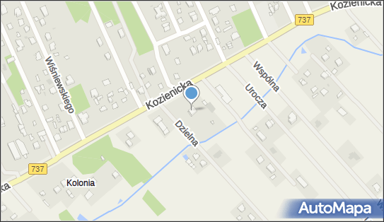 Gospodarstwo Ogrodnicze Krzysztof Mosionek, Rajec Poduchowny 113 26-613 - Przedsiębiorstwo, Firma, NIP: 7961862083