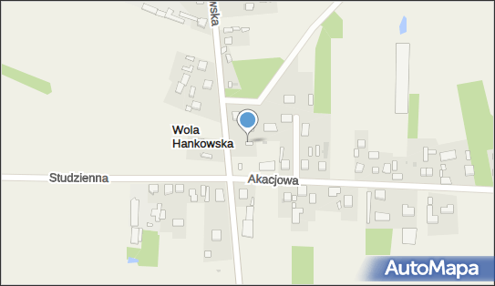 Gospodarstwo Ogrodnicze Nowak Krzysztof, Wola Hankowska 17 42-233 - Przedsiębiorstwo, Firma, NIP: 5731111596