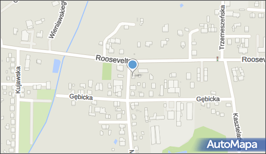 Gospodarstwo Ogrodnicze Stefania Drass, Mogileńska 3, Gniezno 62-200 - Przedsiębiorstwo, Firma, NIP: 7841502755