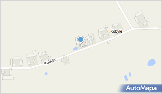 Gospodarstwo Rolne Andrzej Czubiński, Kobyle 10, Kobyle 99-150 - Przedsiębiorstwo, Firma, NIP: 7752177667