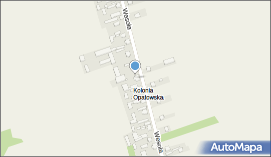 Gospodarstwo Rolne Ireneusz Kotas, ul. Wesoła 51, Złochowice 42-151 - Przedsiębiorstwo, Firma, NIP: 5741023356