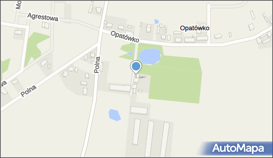 Gospodarstwo Rolne Ireneusz Płowens, Opatówko 18, Opatówko 62-330 - Przedsiębiorstwo, Firma, NIP: 9720536621