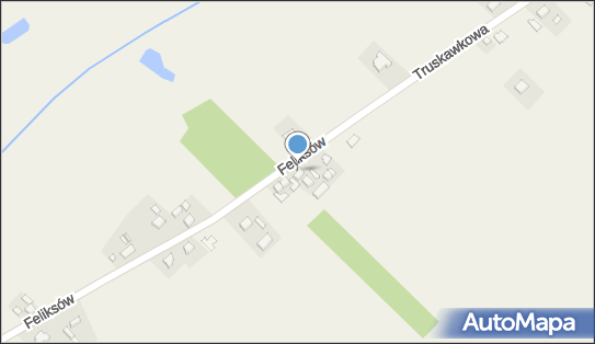 Gospodarstwo Rolne Jerzy Borowski, Feliksów 21, Feliksów 63-604 - Przedsiębiorstwo, Firma, NIP: 6191244212