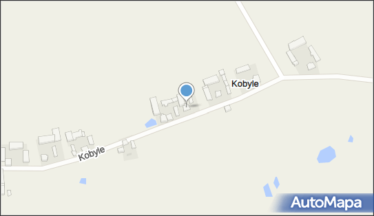 Gospodarstwo Rolne Józef Bielicki, Kobyle 9, Kobyle 99-150 - Przedsiębiorstwo, Firma, NIP: 6661767256