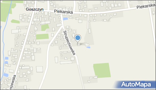 Gospodarstwo Rolne Kazimierski Tadeusz, Strupiechowska 3, Goszczyn 05-610 - Przedsiębiorstwo, Firma, NIP: 1131047333