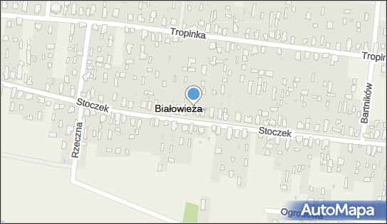 Gospodarstwo Rolne Krzysztof Samocik, ul. Stoczek 89, Białowieża 17-230 - Przedsiębiorstwo, Firma, numer telefonu, NIP: 5431459266