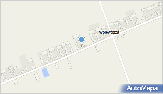 Gospodarstwo Rolne Leszek Mikołajczyk, Wojewodza 19, Wojewodza 99-423 - Przedsiębiorstwo, Firma, NIP: 8341369791