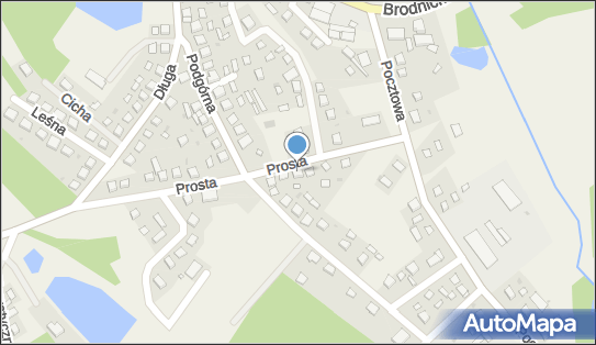 Gospodarstwo Rolne Lichocki Kazimierz, ul. Prosta 7, Bartniczka 87-321 - Przedsiębiorstwo, Firma, NIP: 8741588143