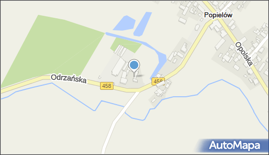 Gospodarstwo Rolne Michalski Krzysztof, Odrzańska 10, Popielów 46-090 - Przedsiębiorstwo, Firma, NIP: 7471336200