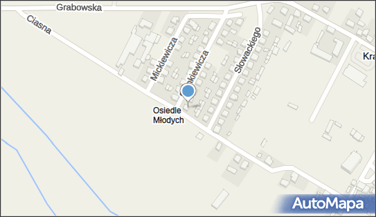 Gospodarstwo Rolne Waldemar Tyjon, ul. Sienkiewicza 19, Kraszewice 63-522 - Przedsiębiorstwo, Firma, NIP: 6221820874