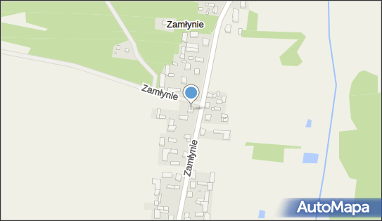 Gospodarstwo Rolne, Zamłynie 25, Zamłynie 98-220 - Przedsiębiorstwo, Firma, NIP: 8291303464