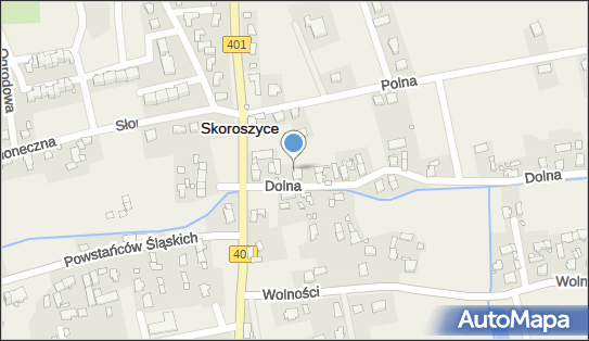 Gospodarstwo Rolne, Dolna 1a, Skoroszyce 48-320 - Przedsiębiorstwo, Firma, NIP: 7531314019