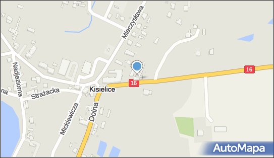 Gospodarstwo Rolne, ul. Sienkiewicza 10, Kisielice 14-220 - Przedsiębiorstwo, Firma, NIP: 5811004017