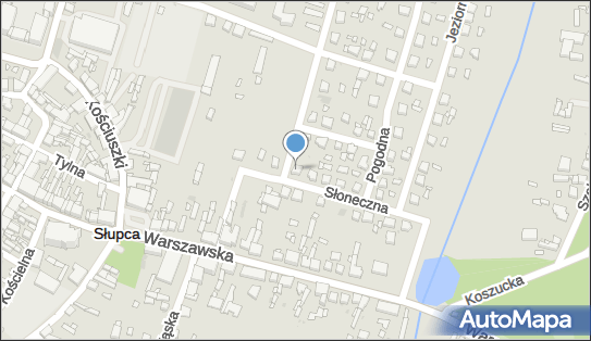 6671076080, Taksówka Osobowa - Lech Papierski 