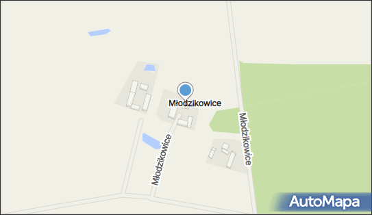 Gospodarstwo Rolne, Młodzikowice 4, Młodzikowice 63-023 - Przedsiębiorstwo, Firma