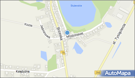 Gospodarstwo Rolne, ul. Marii Wodzyńskiej 1, Służewo 87-710 - Przedsiębiorstwo, Firma, NIP: 5562354355