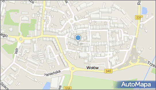 Gospodarstwo Rolne, ul. Piastów Śląskich 20, Wołów 56-100 - Przedsiębiorstwo, Firma, NIP: 9880004436
