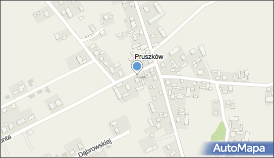 Gospodarstwo Rolno-Warzywne Zenon Świątek, Pruszków 19, Pruszków 62-800 - Przedsiębiorstwo, Firma, NIP: 9680710201