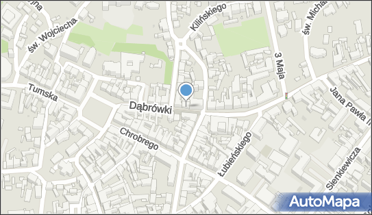 Grace, Dąbrówki 7, Gniezno 62-200 - Przedsiębiorstwo, Firma, numer telefonu, NIP: 7841447097