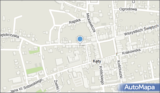 Grafion Art Papiernicze i Biurowe Hurt Detal, ul. Świętokrzyska 3 32-650 - Przedsiębiorstwo, Firma, numer telefonu, NIP: 5491970755