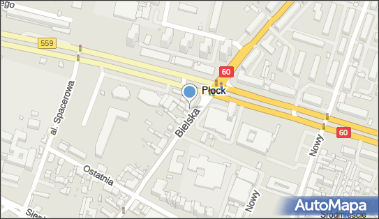 Grażyna Lewandowska - Działalność Gospodarcza, Bielska 45 09-400 - Przedsiębiorstwo, Firma, NIP: 7741714989