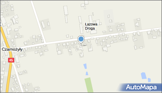 Grażyna Olejnik P.P.H.U Martex G.J.Olejnik, Czarnożyły 157 98-310 - Przedsiębiorstwo, Firma, NIP: 8321032953